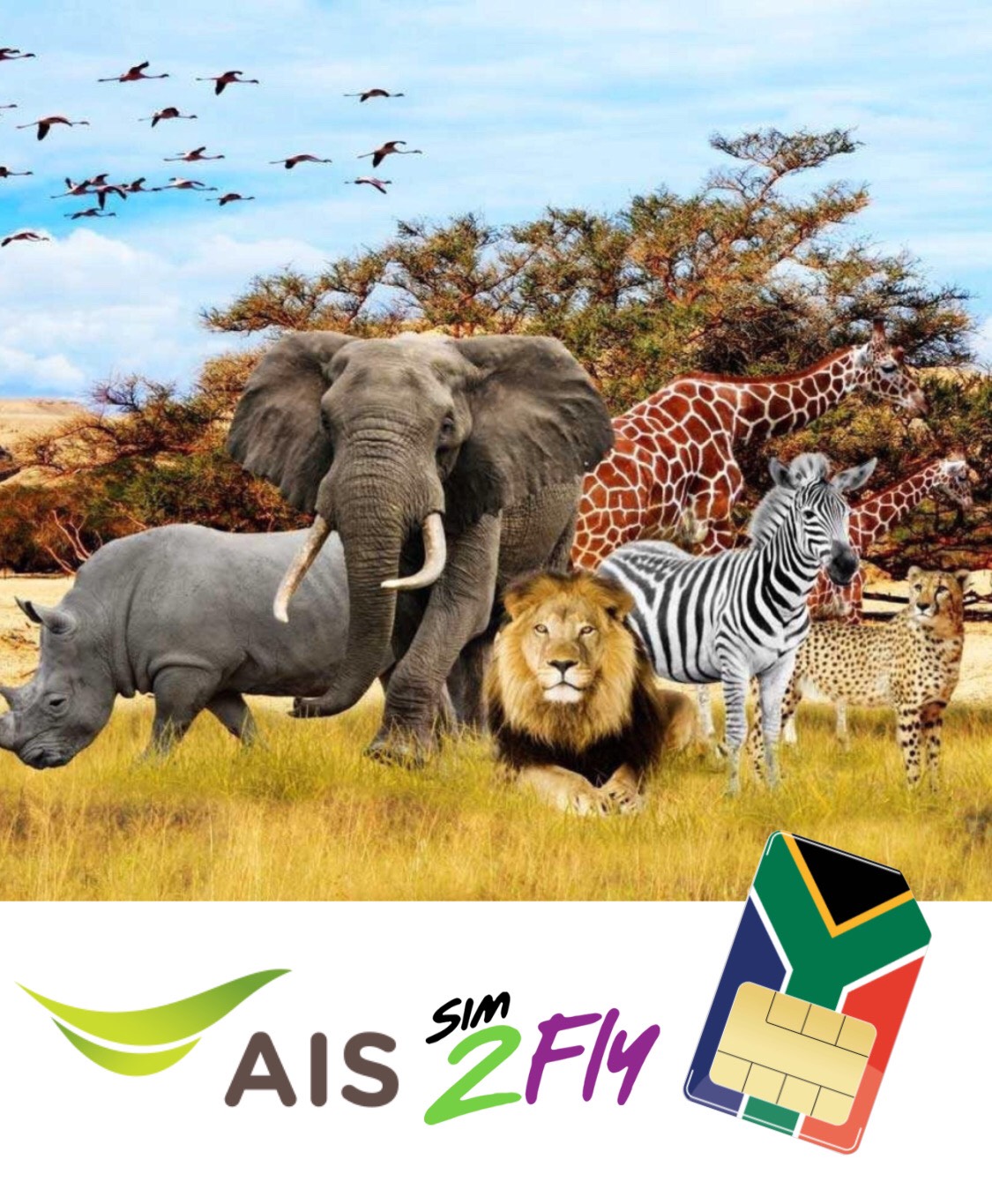 Product AIS Africa