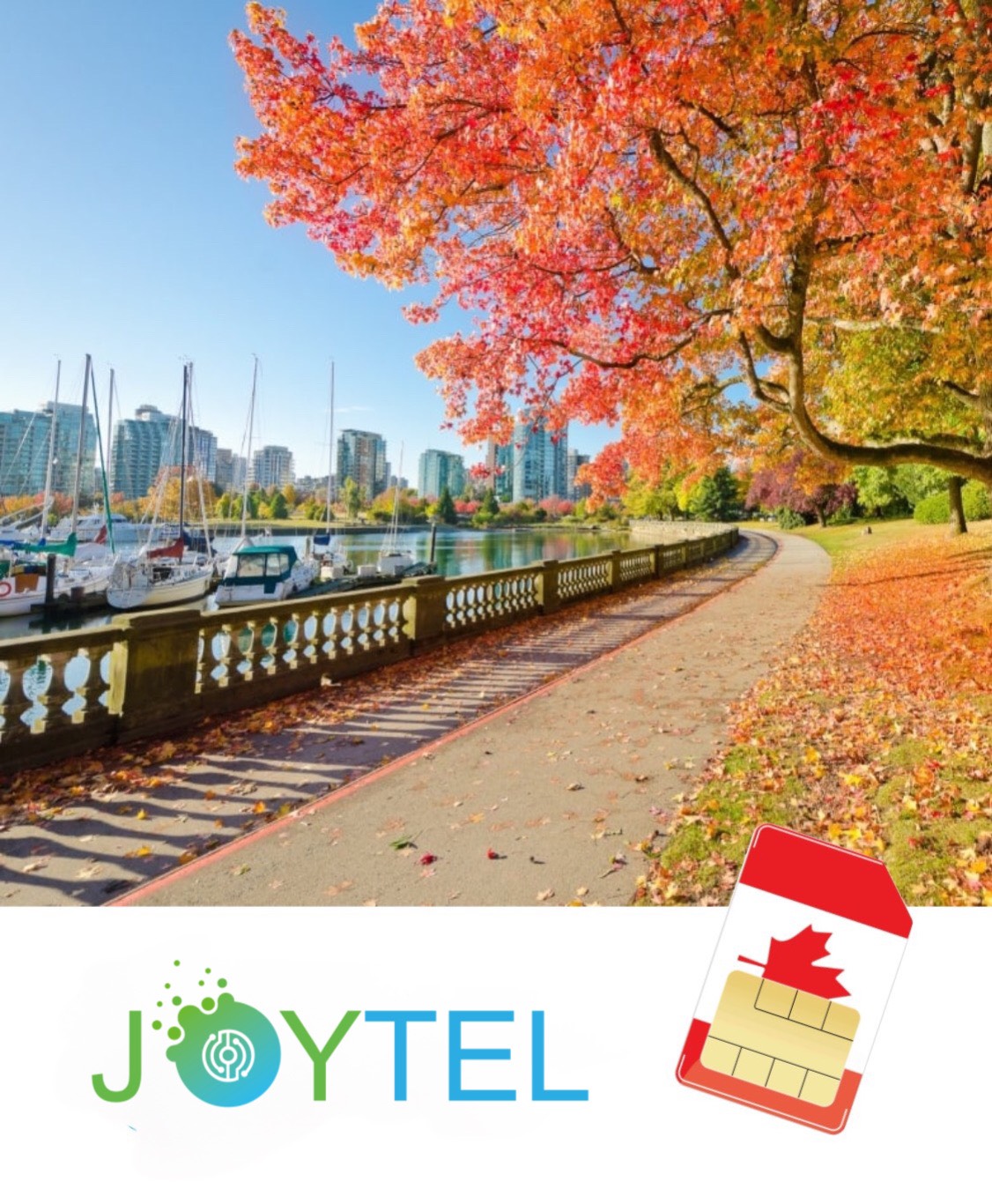 USA - Canada Joytel